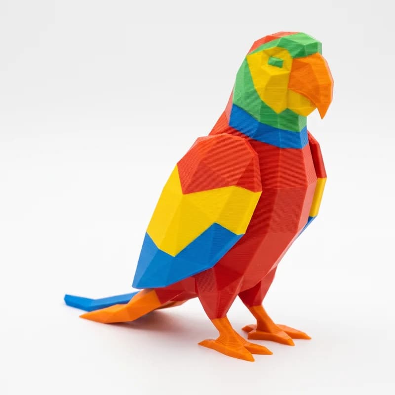 The printed parrot